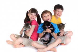 La llegada de un perro o un gato a la familia.
