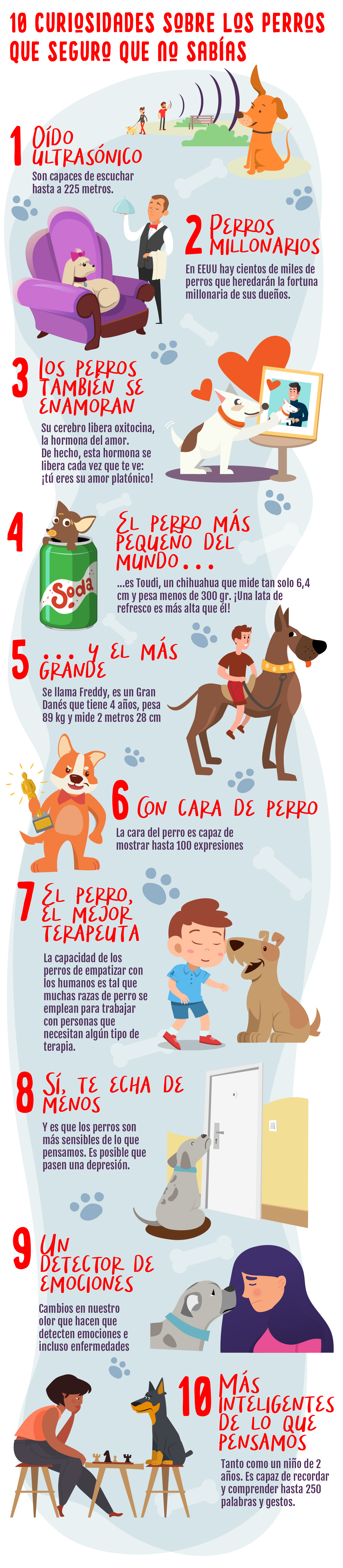 Conozca Algunas Curiosidades Sobre Los Perros Perros Seguros My Xxx Hot Girl